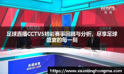 XK星空体育APP