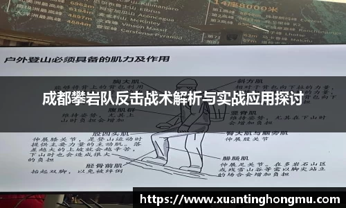 成都攀岩队反击战术解析与实战应用探讨