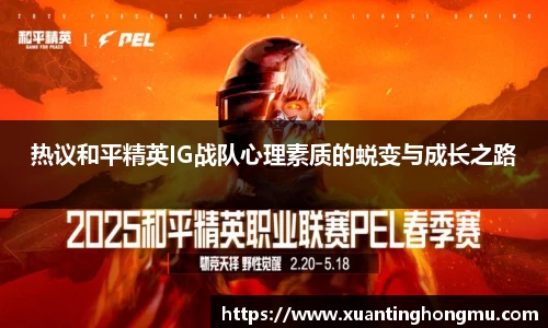 XK星空体育平台