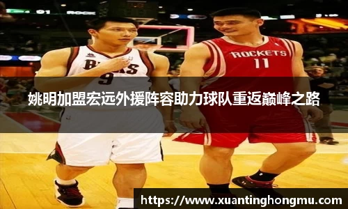 XK星空体育APP