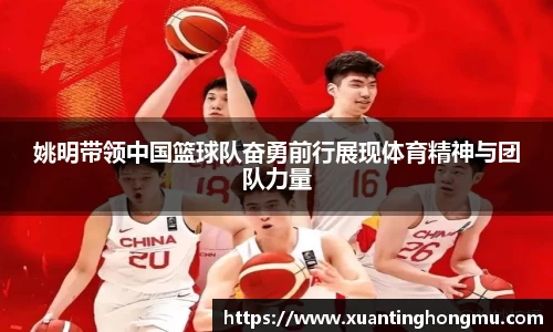 XK星空体育下载