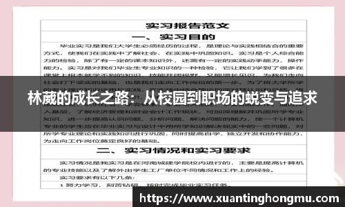 XK星空体育下载
