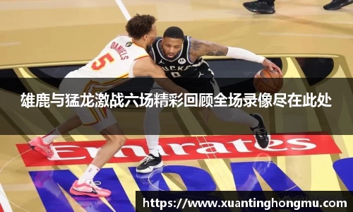 XK星空体育APP