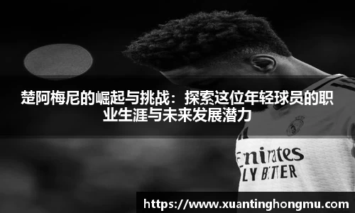 XK星空体育官网
