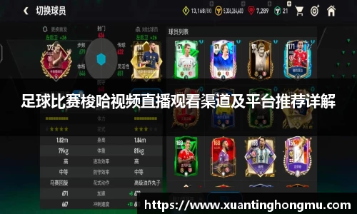 XK星空体育官网