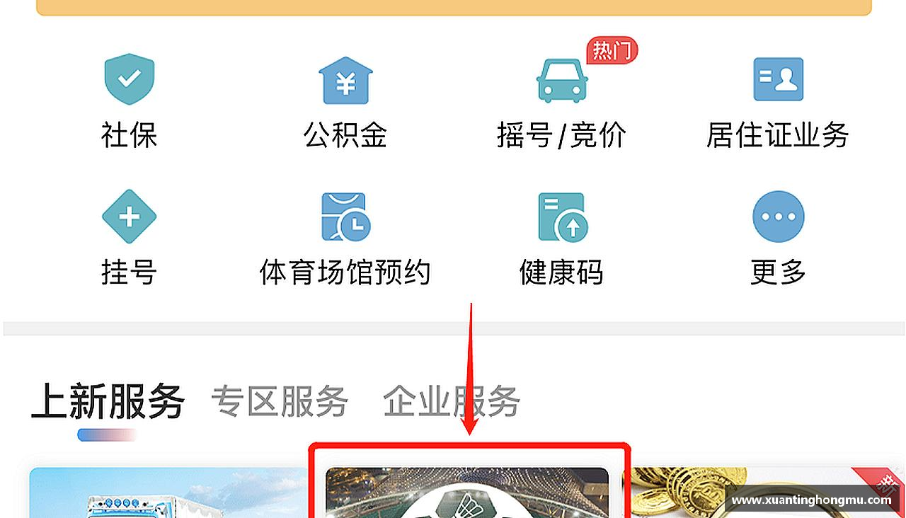 精彩瞬间，尽在体育